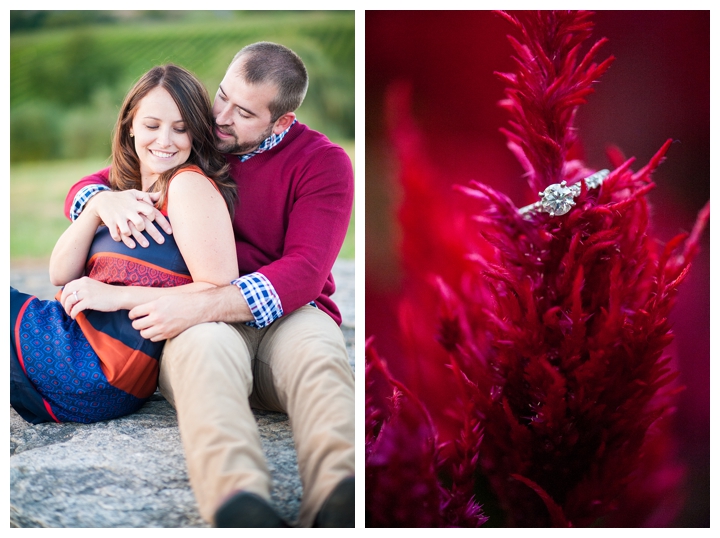 TravisAmanda_BarrelOakWinery_Fall_Engagement_Virginia_Photographer-88_web