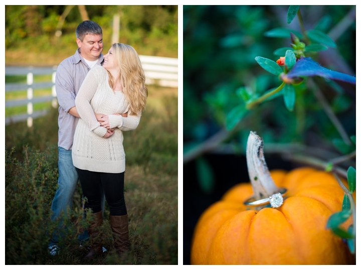 BruceAmanda_fall_farm_country_engagement_warrenton_virginia_photographer-141_web