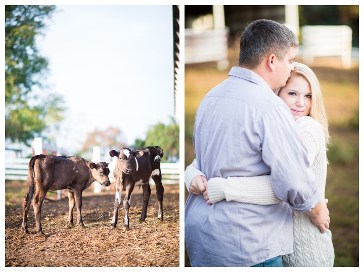 BruceAmanda_fall_farm_country_engagement_warrenton_virginia_photographer-149_web