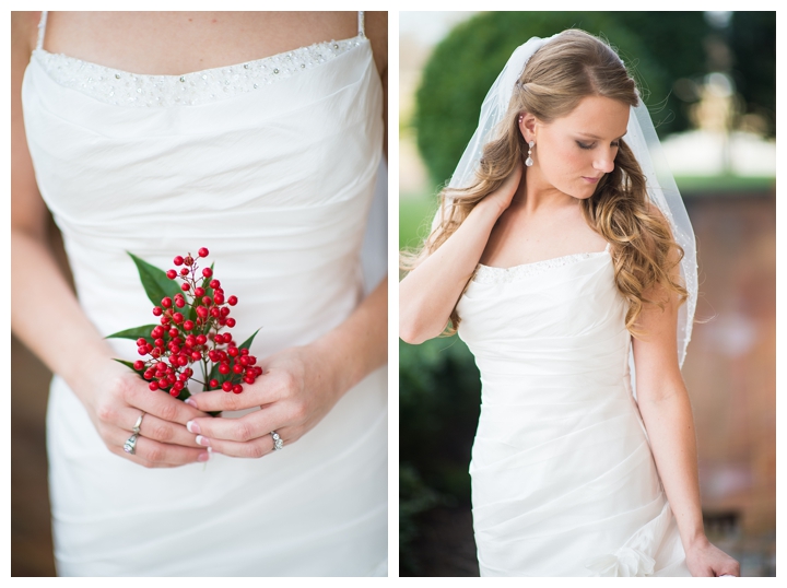 3_bridalportraits_virginiabeach_photographer-16_web