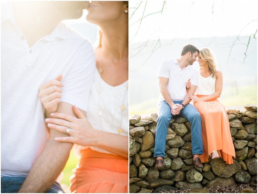 sky_meadows_park_farm_virginia_engagement_photographer_-28_web