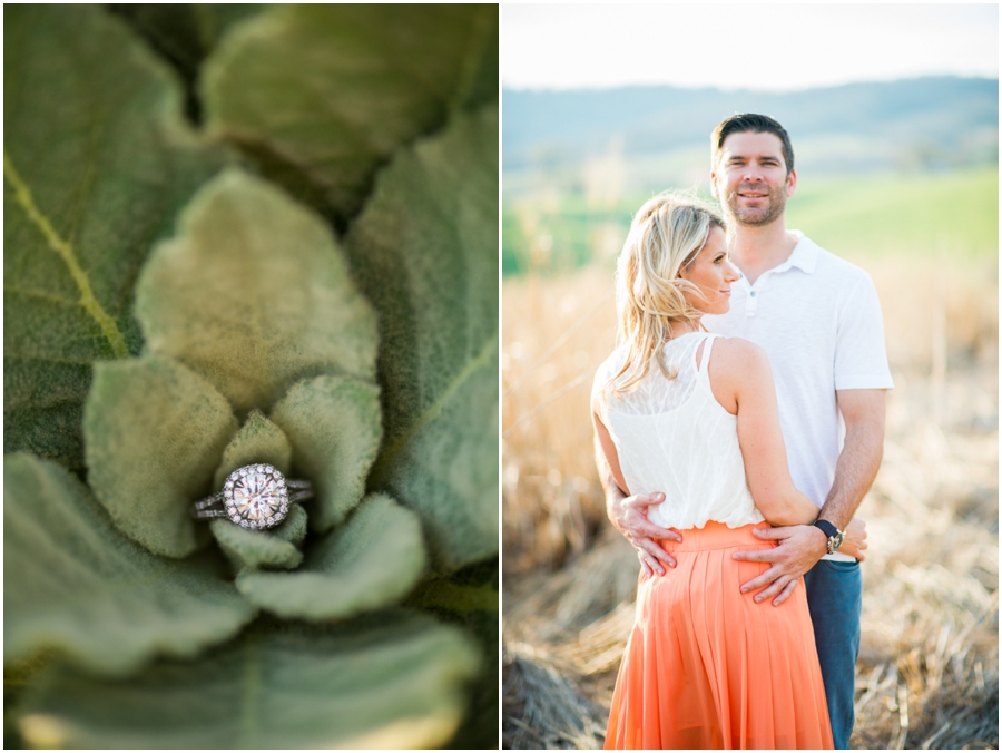 sky_meadows_park_farm_virginia_engagement_photographer_-43_web