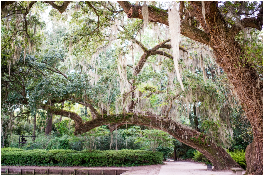 5_middleton_place_charleston_southcarolina_roadtrip-16_web