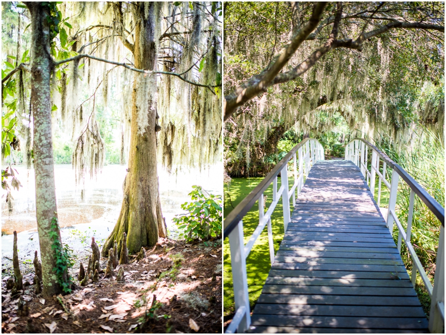 6_magnolia_plantation_charleston_southcarolina_roadtrip-12_web