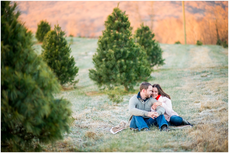 christmas_mini_sessions_verworn-12_web