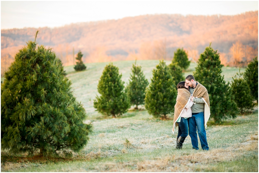 christmas_mini_sessions_verworn-7_web