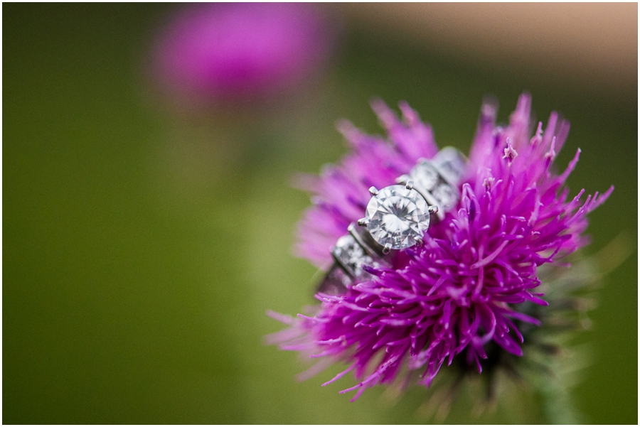 matt_nicole_staunton_virginia_grey_gables_farm_engagement_photographer-76_web