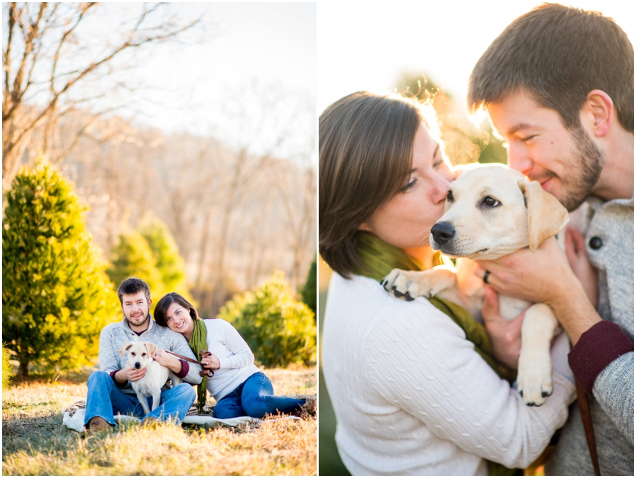 christmas_mini_sessions_hocutt-15_web