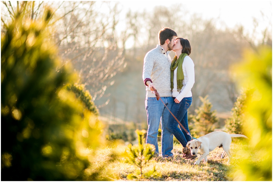 christmas_mini_sessions_hocutt-16_web