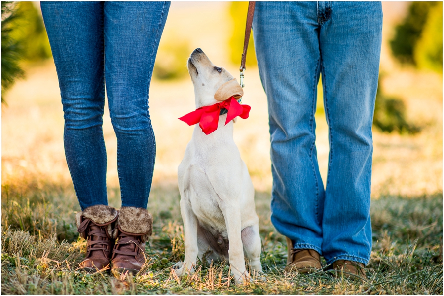 christmas_mini_sessions_hocutt-23_web