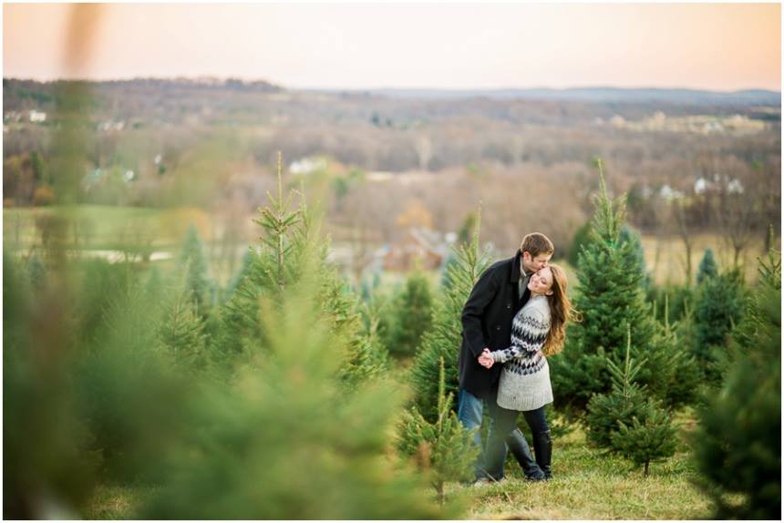 Virginia Wedding Engagement Photographer | Bluemont Christmas Tree Farm