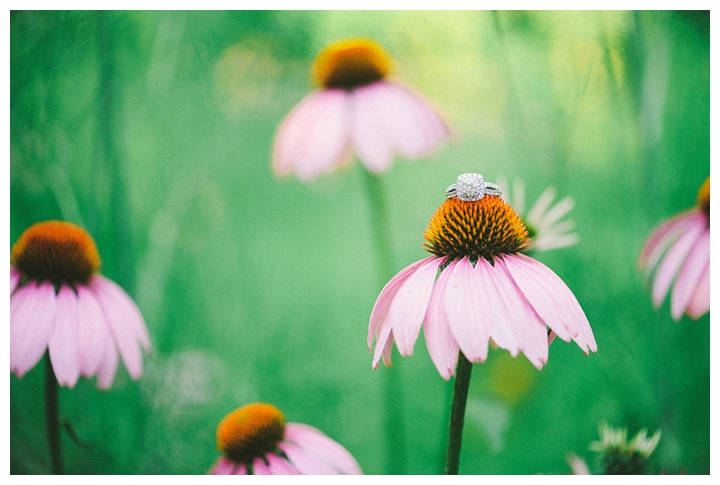 Stephanie Messick Photography | Spring Flower Portraits