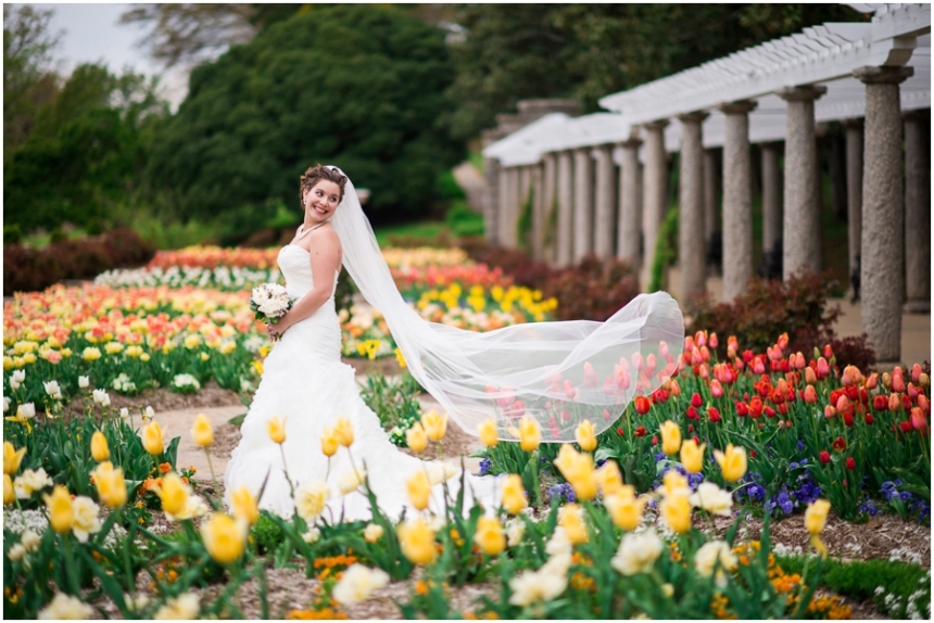 Stephanie Messick Photography | Spring Flower Portraits