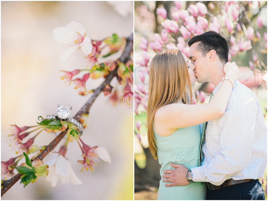 Weekend Recap | Cherry Blossoms, DC Photographer