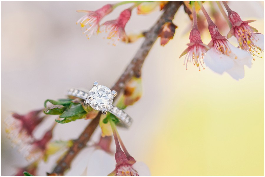 Jake & Kirsten | Cherry Blossoms, DC Engagement Photogrpaher