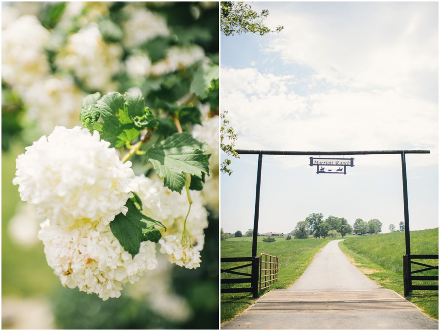 Greg & Alyssa | Marriott Ranch, Hume Virginia Wedding Photographer