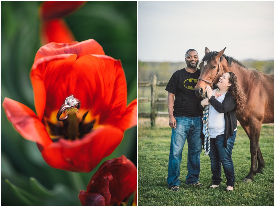 Donald & Sarah | Warrenton, Virginia Engagement Photographer