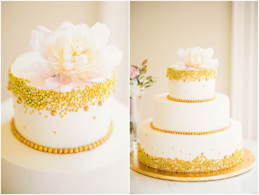 Michael & Candace | Morais Vineyard, Virginia Wedding Photographer