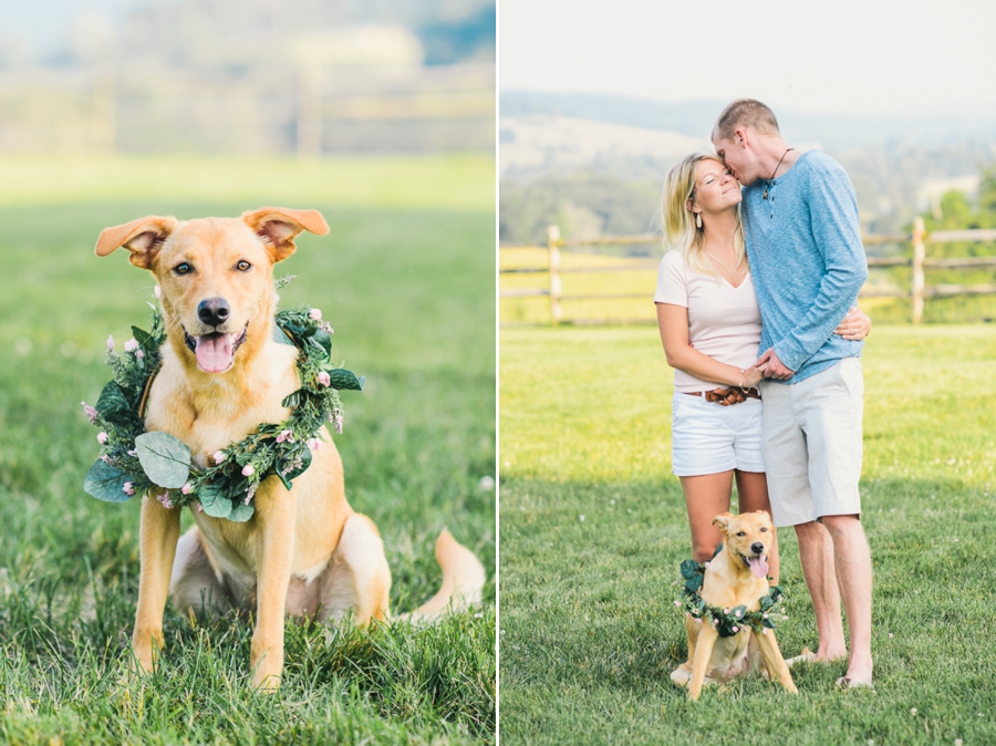 Danny & Brittany | Warrenton, Virginia Engagement Photographer