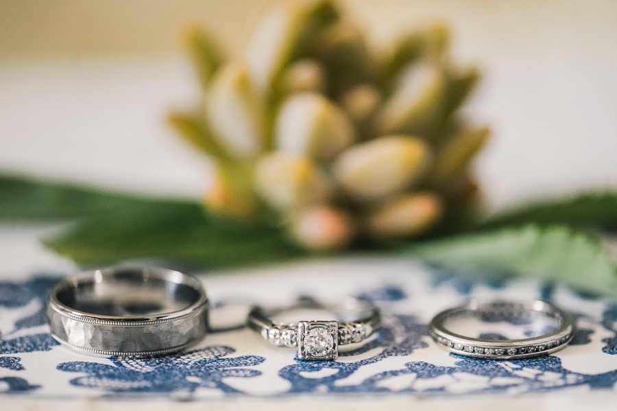 DJ & Bevin | Oatlands Plantation, Leesburg, Virginia Garden Wedding Photographer