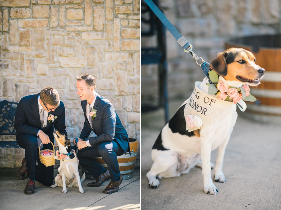 James & Emily | Navy and Coral Potomac Point Winery, Virginia Wedding Photographer