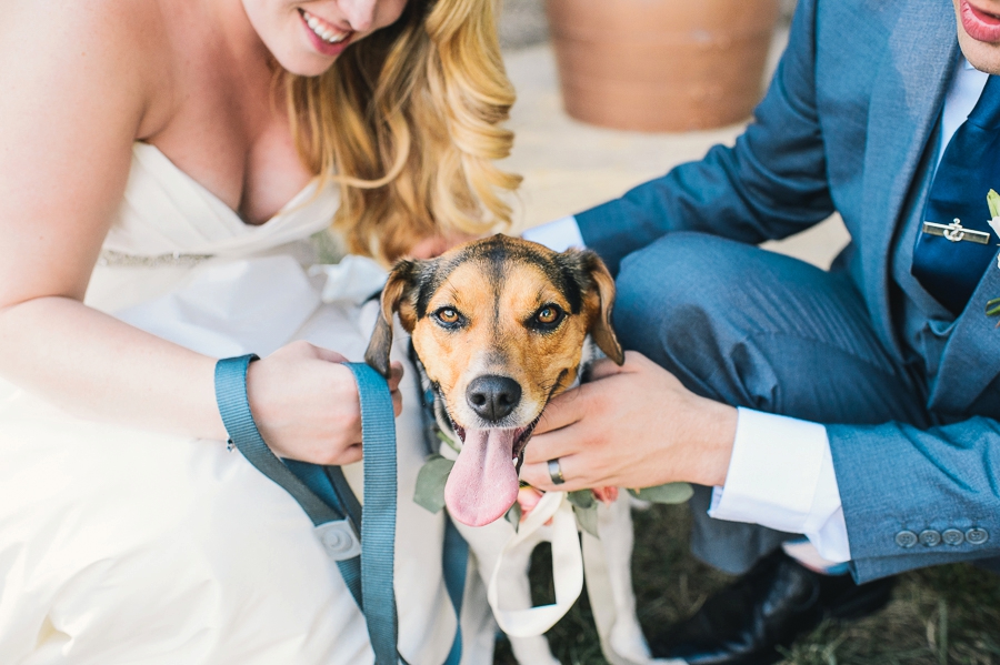 James & Emily | Navy and Coral Potomac Point Winery, Virginia Wedding Photographer
