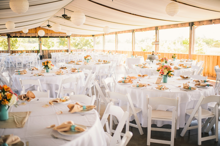 Matt & Taylor | Old House Vineyards, Culpeper, Virginia Wedding Photographer
