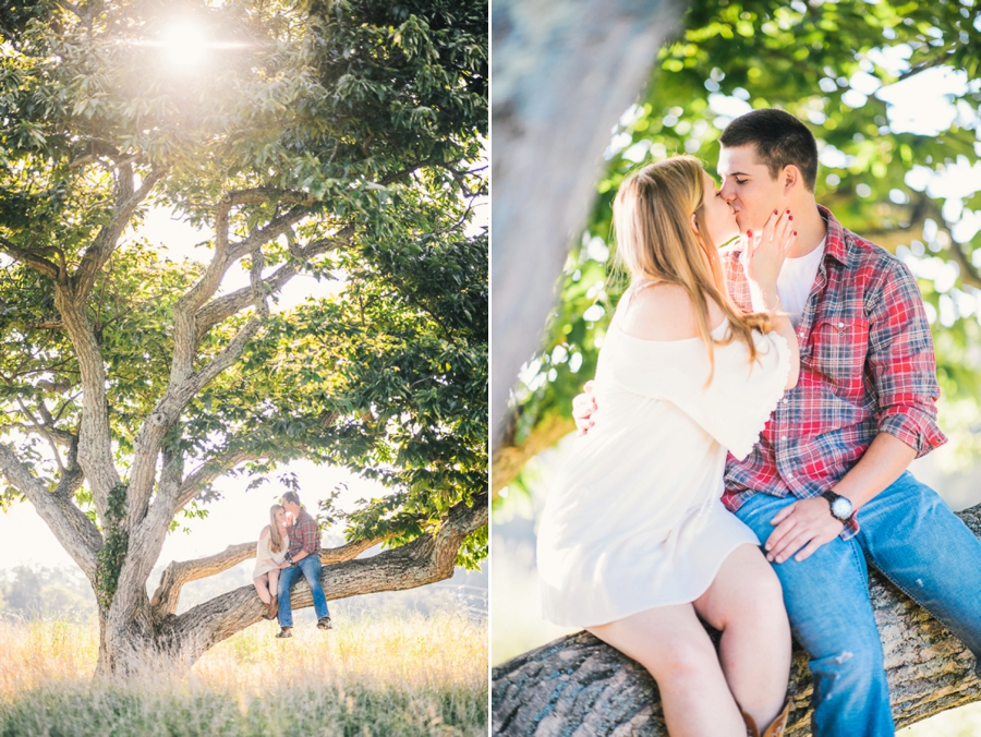 Stephen & Kelly | Manassas Battlefields, Virginia Engagement Photographer