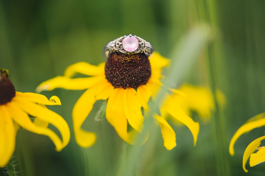 James & Natalie | Virginia State Park Engagement Photographer