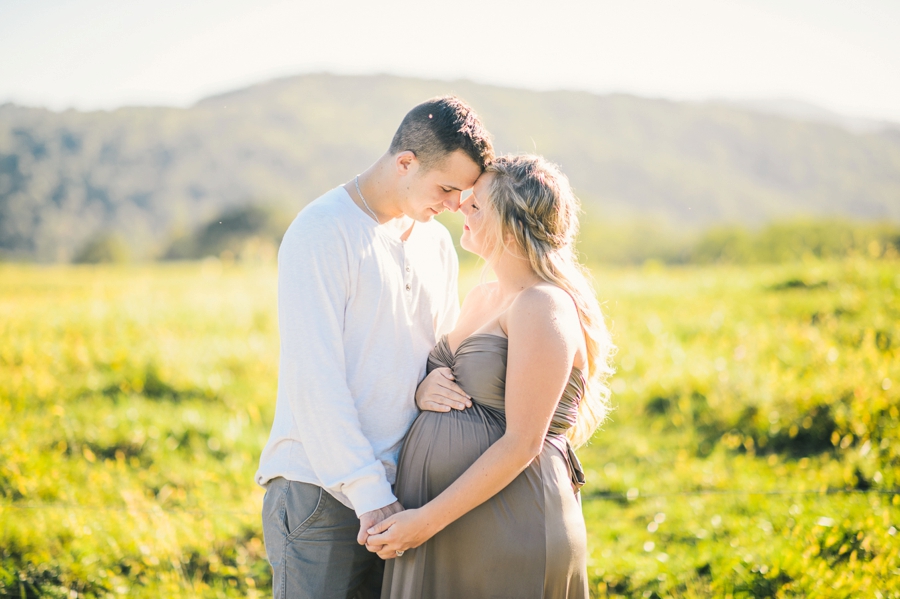 Chris & Hayley | Markham, Virginia Apple Orchard Maternity Portrait Photographer