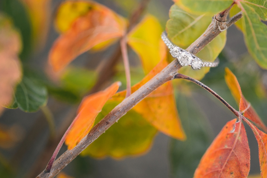 John & Elnora | Early Mountain Vineyards, Madison, Virginia Engagement Photographer