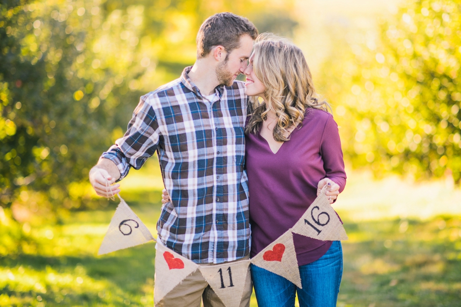 Brandon & Sam | Hartlands Orchard + Sky Meadows Park, Virginia Engagement Photographer