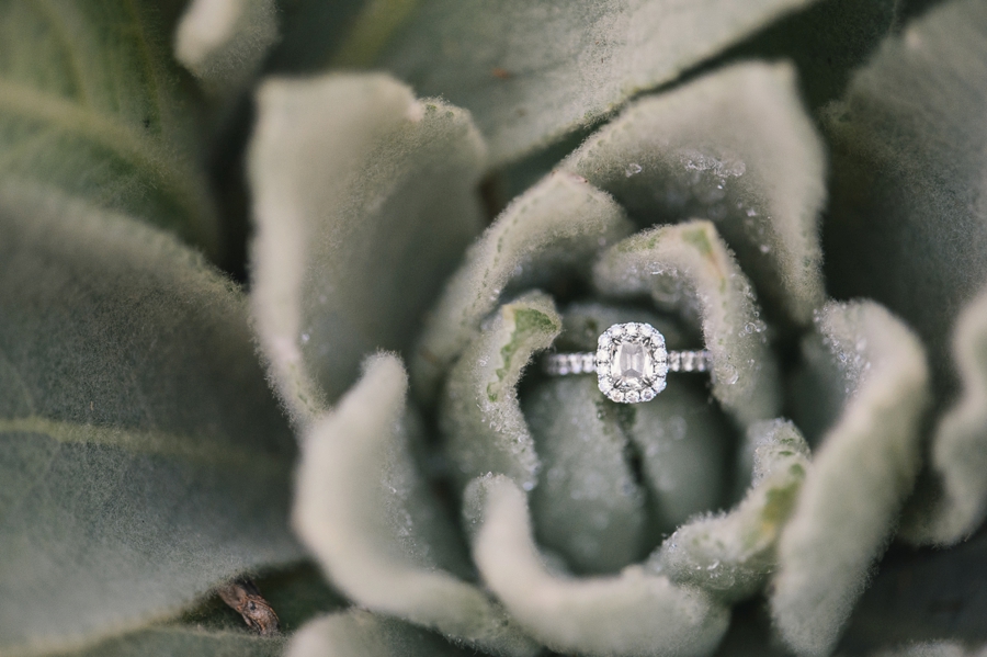 Brandon & Summer | Warrenton, VA Engagement Photographer