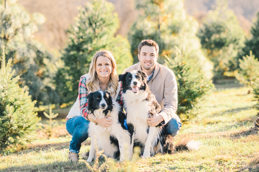 Hank's Christmas Tree Farm, Virginia Mini Sessions Pt. 1