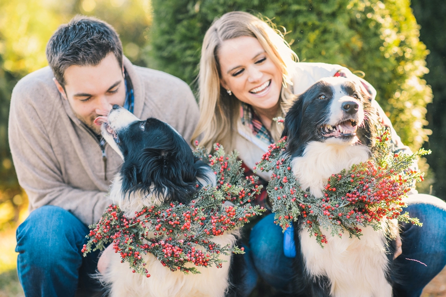 Hank's Christmas Tree Farm, Virginia Mini Sessions Pt. 1