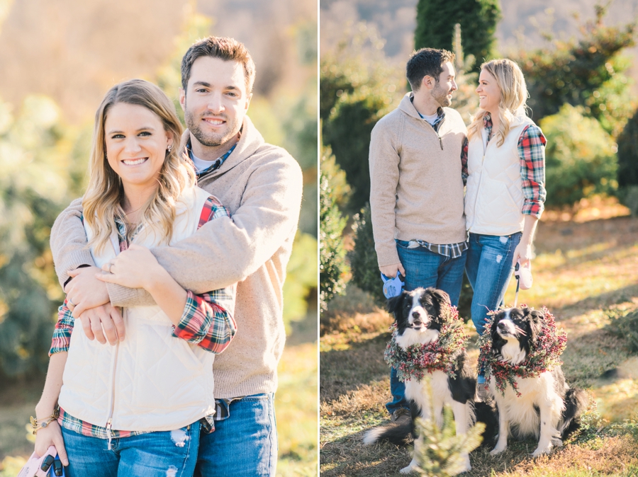 Hank's Christmas Tree Farm, Virginia Mini Sessions Pt. 1