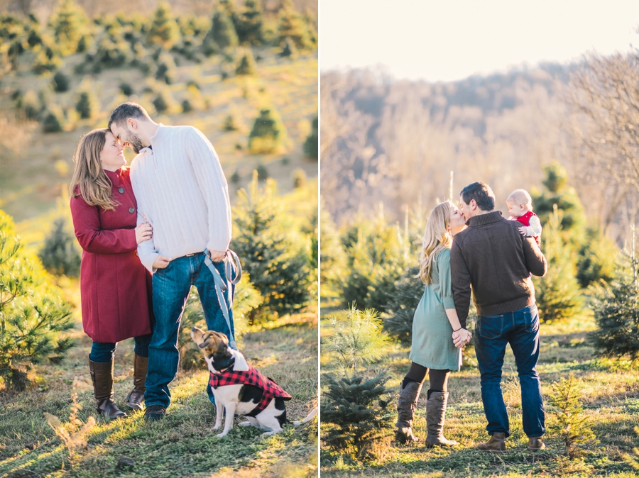 Hank's Christmas Tree Farm, Virginia Mini Sessions Pt. 3