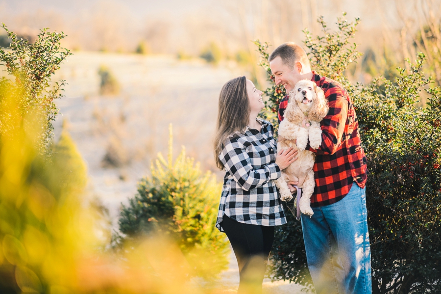 Hank's Christmas Tree Farm, Virginia Mini Sessions Pt. 4