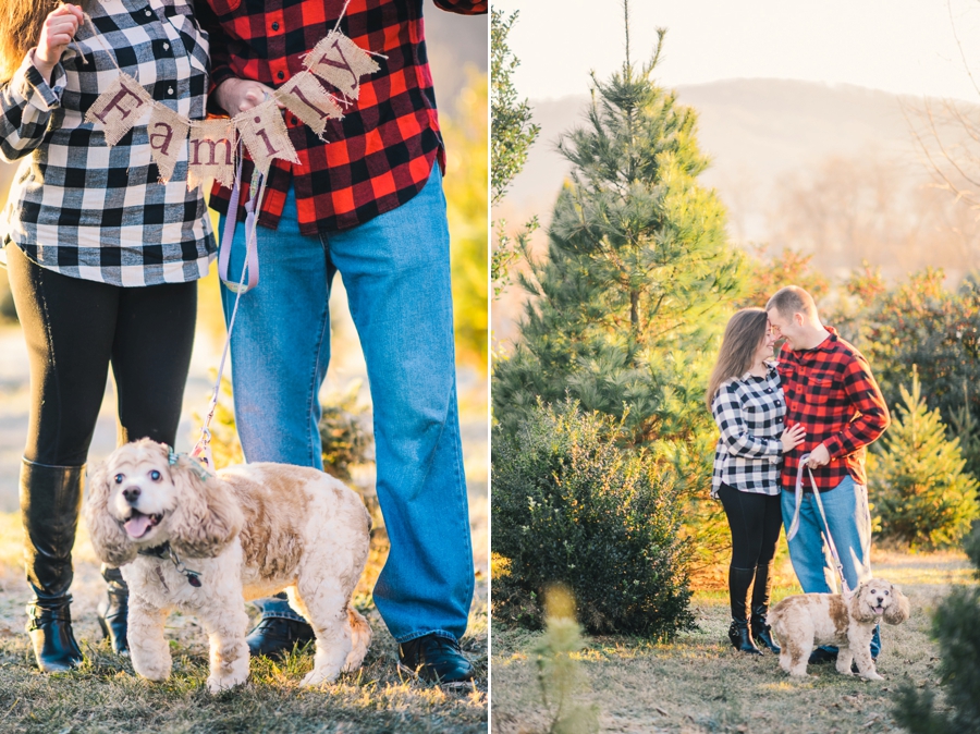 Hank's Christmas Tree Farm, Virginia Mini Sessions Pt. 4