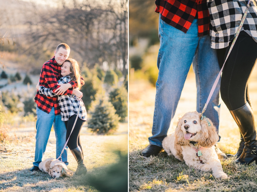 Hank's Christmas Tree Farm, Virginia Mini Sessions Pt. 4