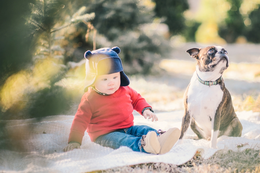 Hank's Christmas Tree Farm, Virginia Mini Sessions Pt. 1