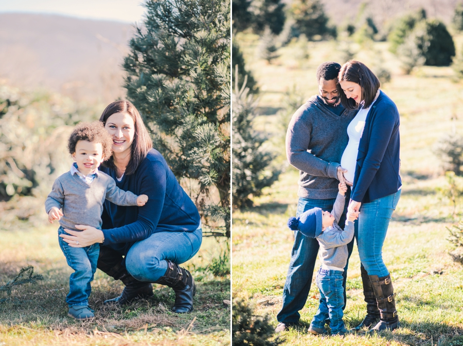 Hank's Christmas Tree Farm, Virginia Mini Sessions Pt. 3