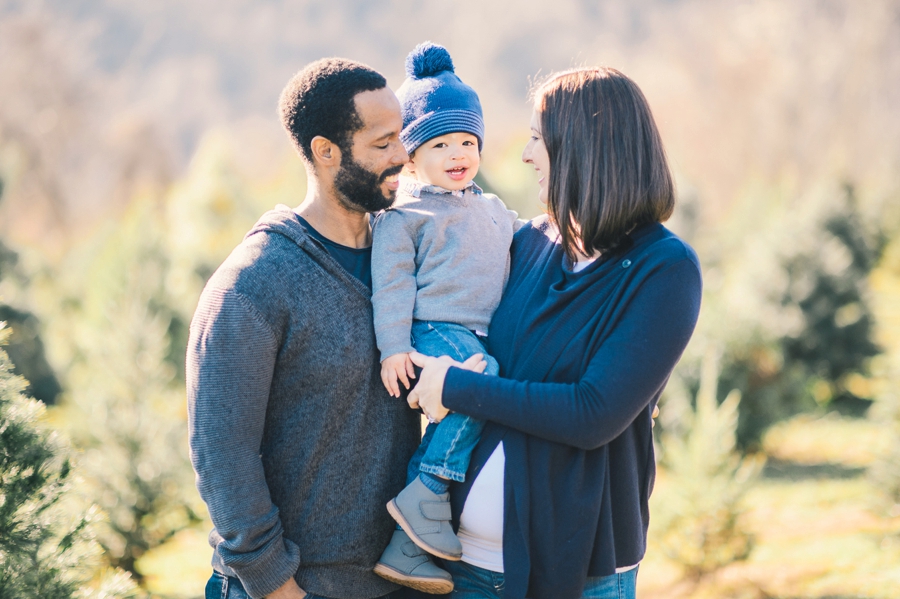 Hank's Christmas Tree Farm, Virginia Mini Sessions Pt. 3