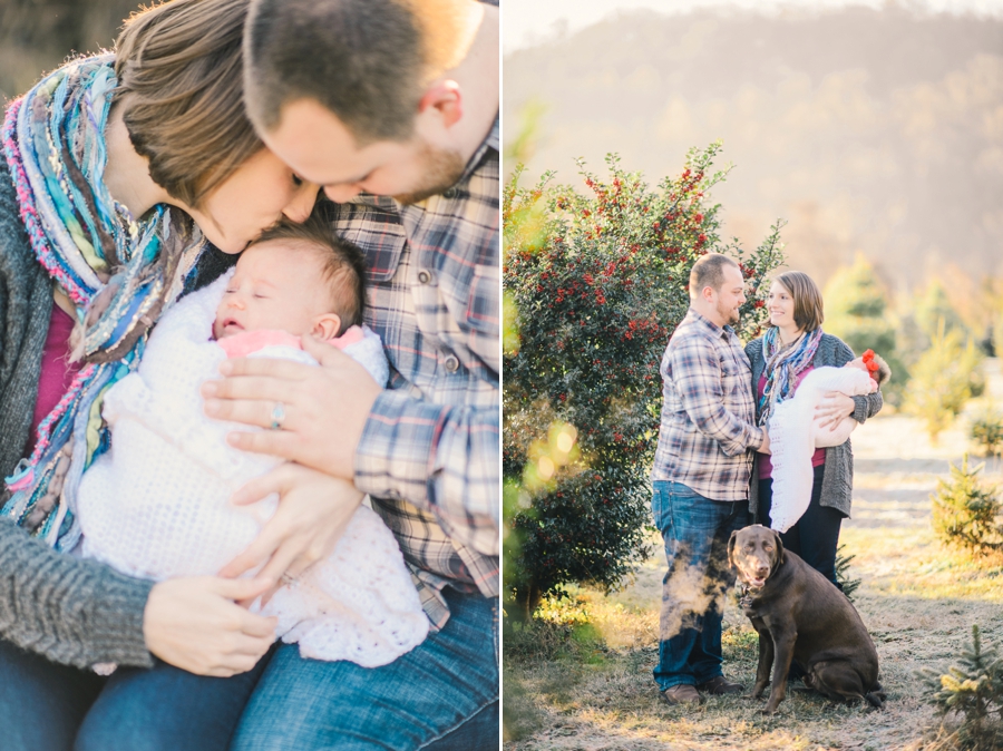 Hank's Christmas Tree Farm, Virginia Mini Sessions Pt. 3