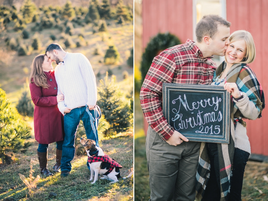 Weekend Recap | Christmas Mini Sessions, Virginia Photographer