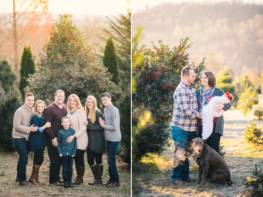 Weekend Recap | Christmas Mini Sessions, Virginia Photographer