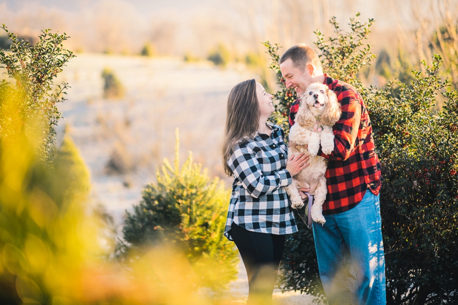 Weekend Recap | Christmas Mini Sessions, Virginia Photographer