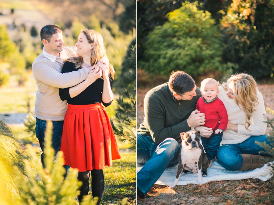 Weekend Recap | Christmas Mini Sessions, Virginia Photographer