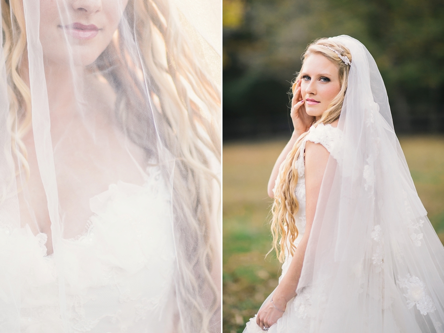 Best of 2015 | Wedding Portraits, Virginia Photographer