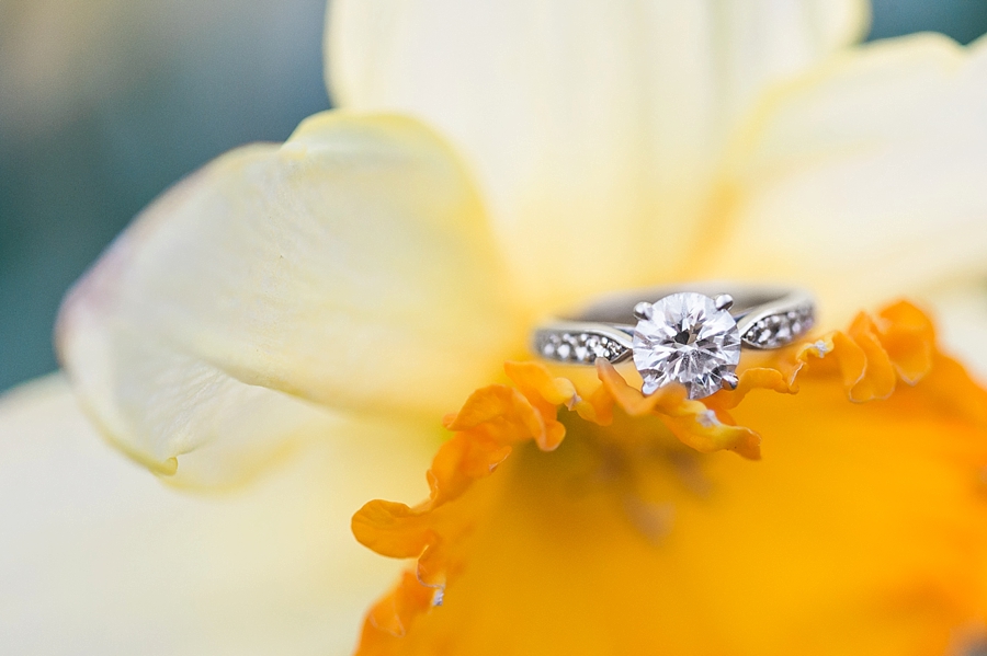 Chris & Chanel | Manassas, Virginia Engagement Photographer